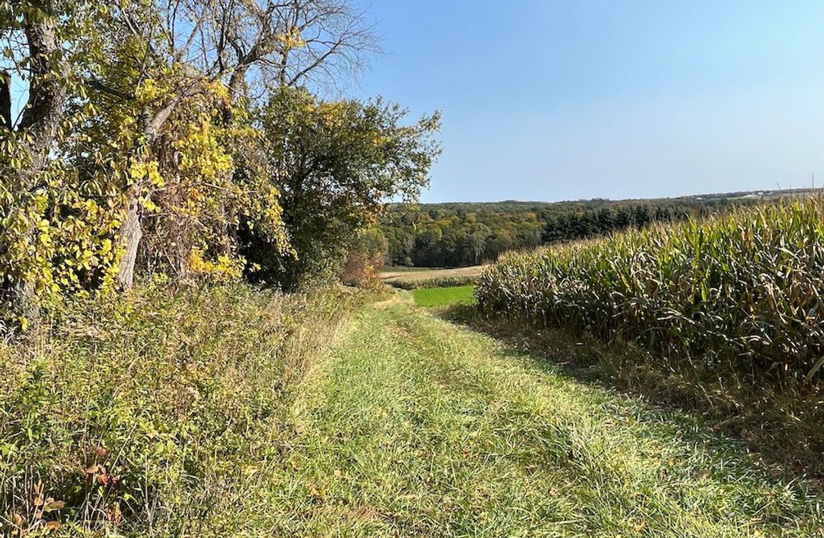 Yates_29_Stape Photo 3