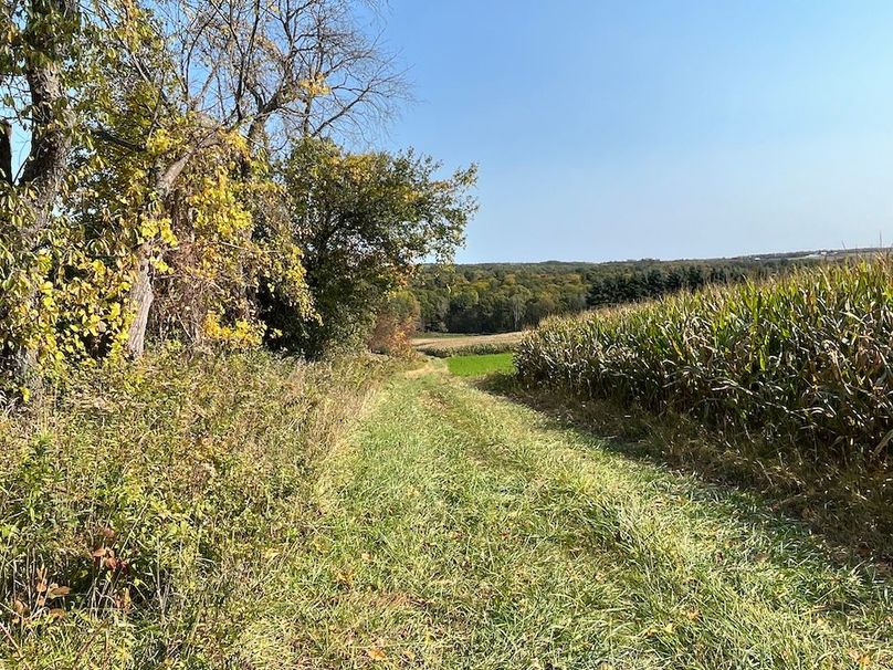 Yates_29_Stape Photo 3