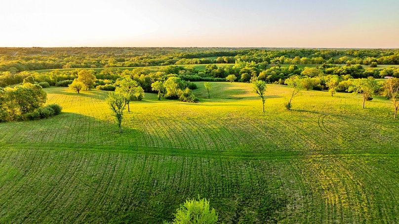 Harrison Grand Trace-25
