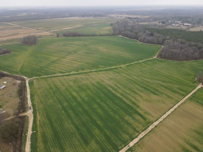 dji_fly_20260106_103846_784_1767987410151_photo