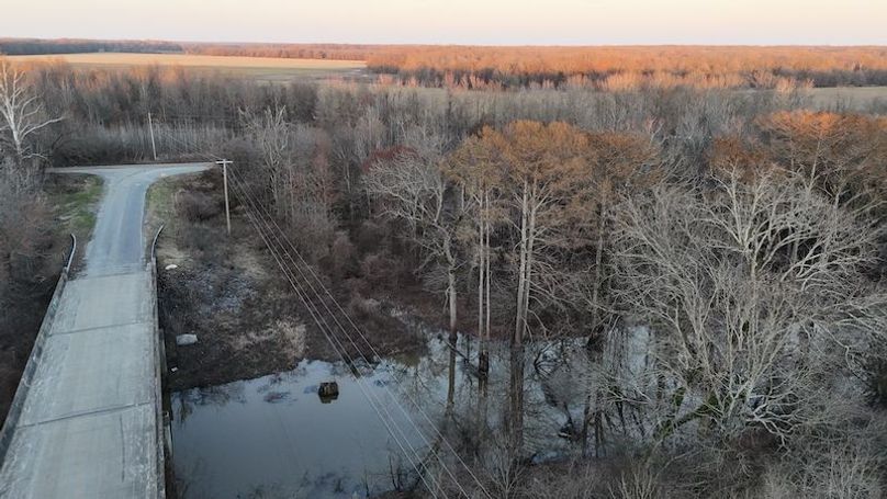 311 new20260217_0452