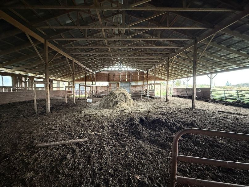 Chemung_184.12_Sterling 31a