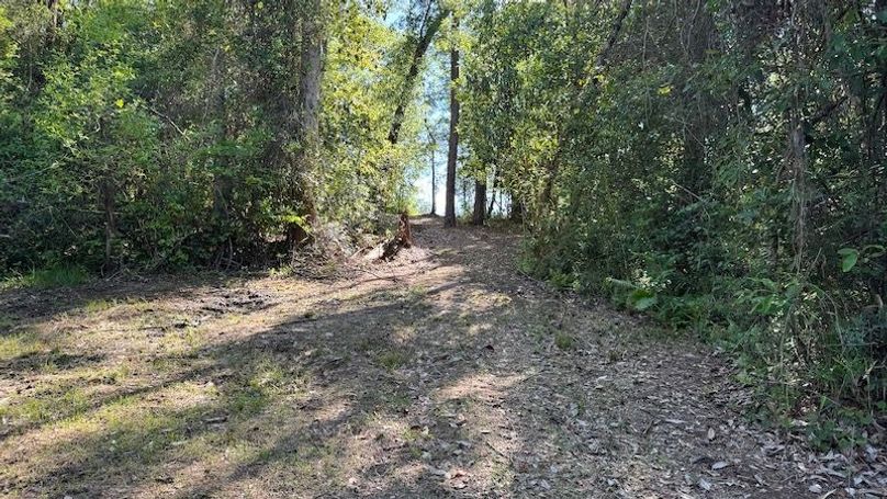 Pic 18