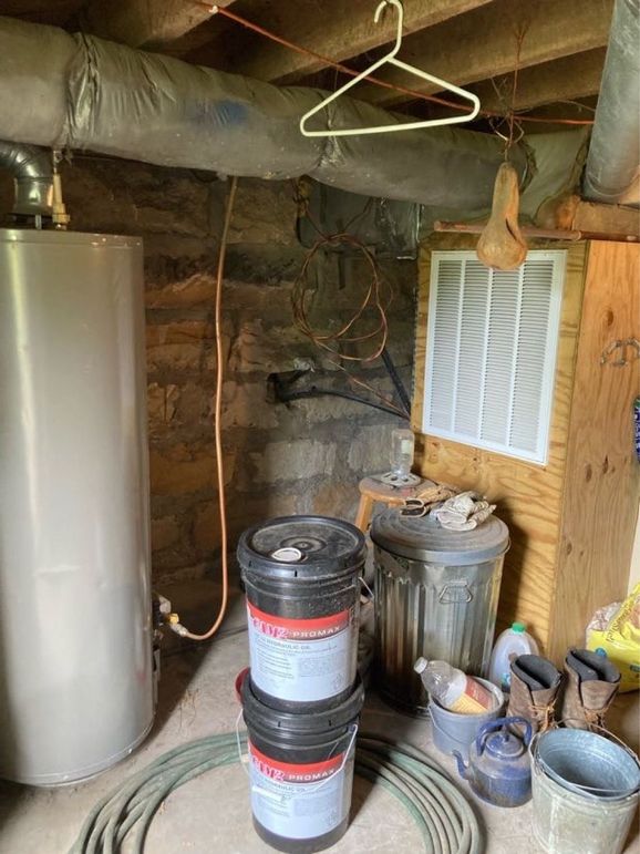 119 the entrance into the cellar under the house