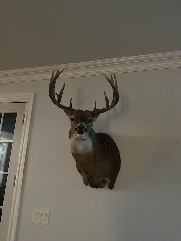 71617323849__7C84C8D5-E20C-4F58-8909-490C10533311