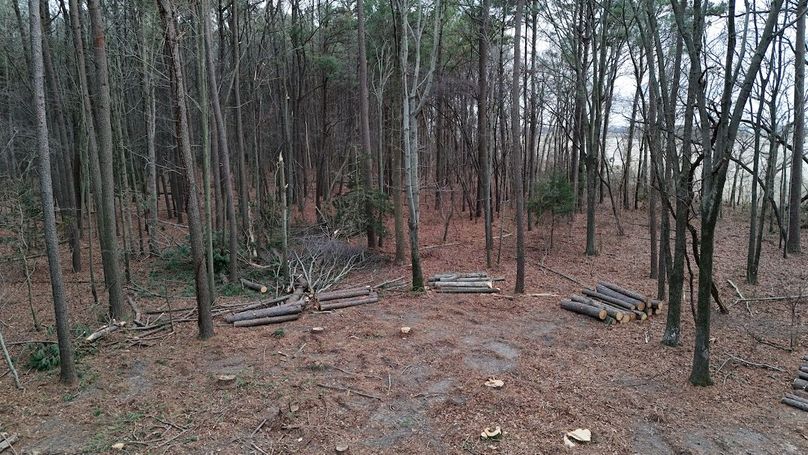 dji_fly_20260122_170256_0052_1769373174016_photo