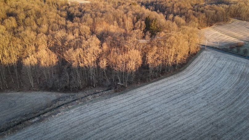 Cayuga 32 Stoyell Photos 35