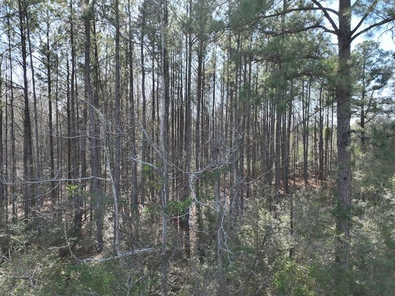 F2897F97-61B0-495F-AA9D-45B423D17613_1_105_c