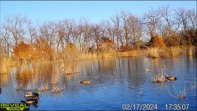 Screenshot_24-1-2026_84224_drive.google.com