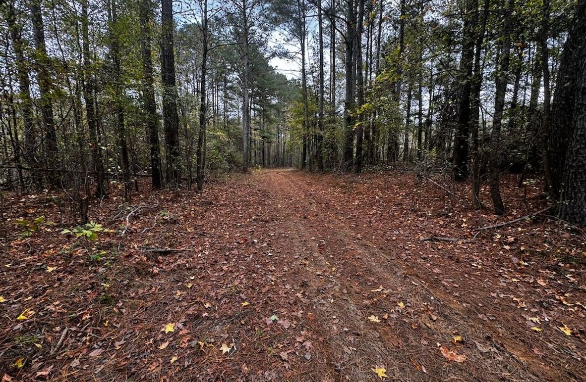 ATV Trail