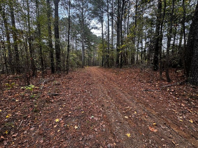 ATV Trail