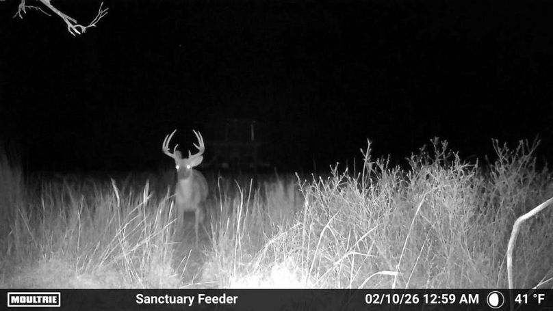 Temp_876933-20260210065942-100MFCAM_MFDC6480