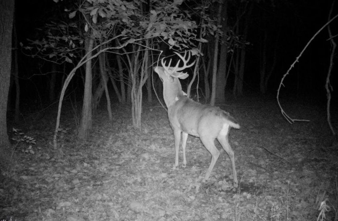 thumb-94d5810ed5e00ff96b860f66cb06d412817e453b