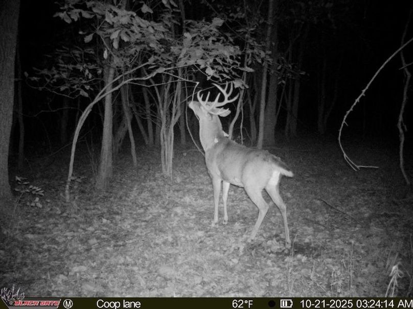 thumb-94d5810ed5e00ff96b860f66cb06d412817e453b