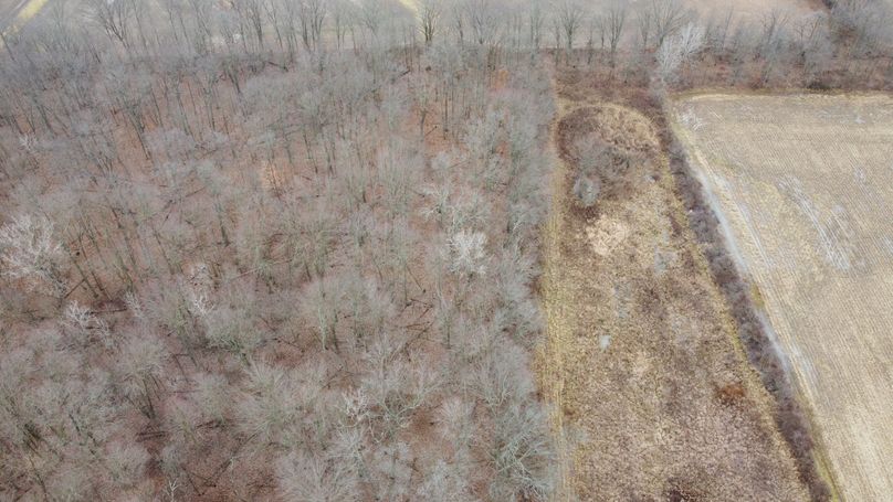DJI_0973