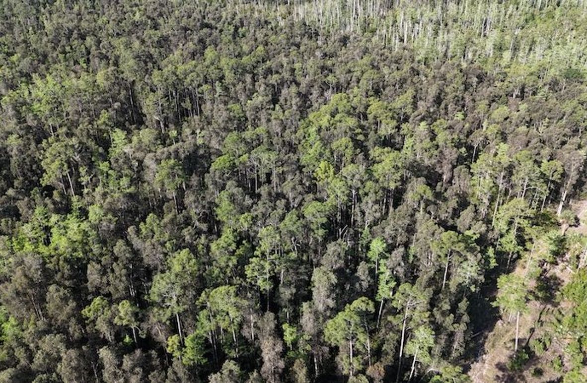 DJI_20260422092251_0493_D