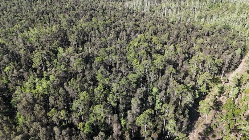 DJI_20260422092251_0493_D