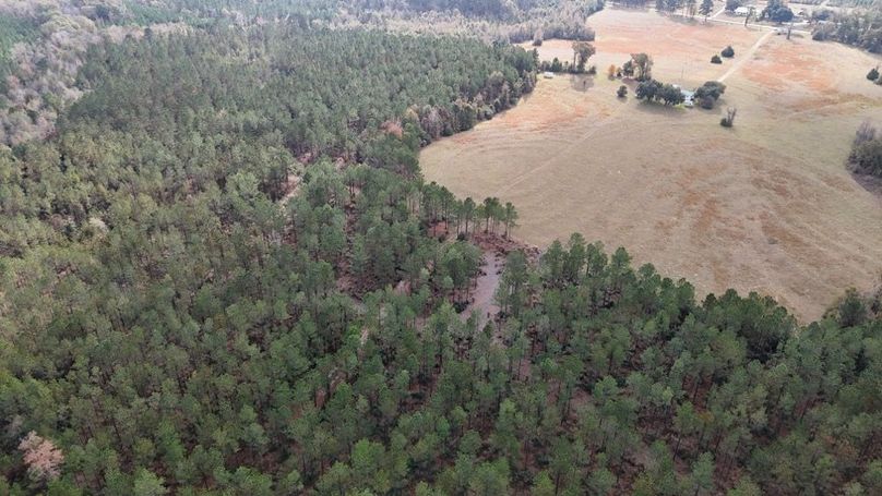 DJI_20251120002406_0922_D