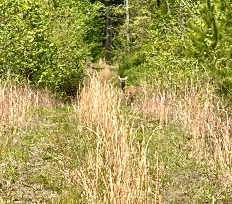 10053679-02E9-4923-AEAC-8E351BCFFBDE_1_201_a