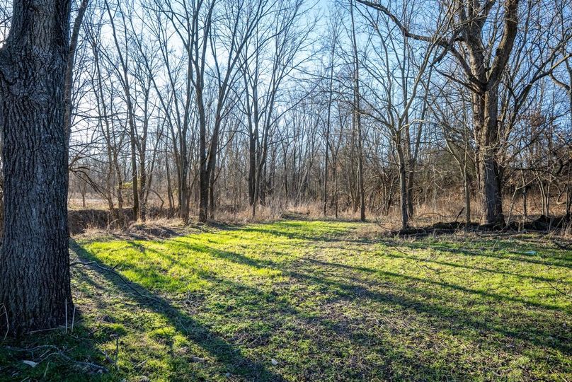 Copy of DSC00665 Large