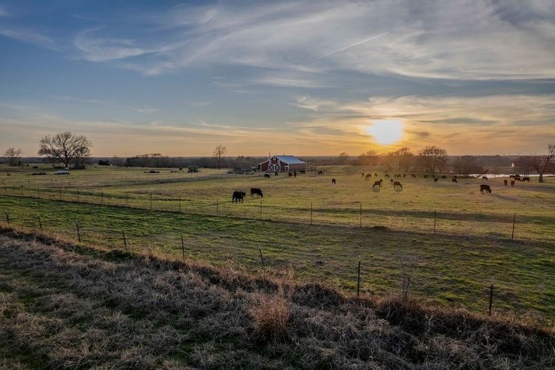 Fannin County- Pecan Ridge (3 of 53)