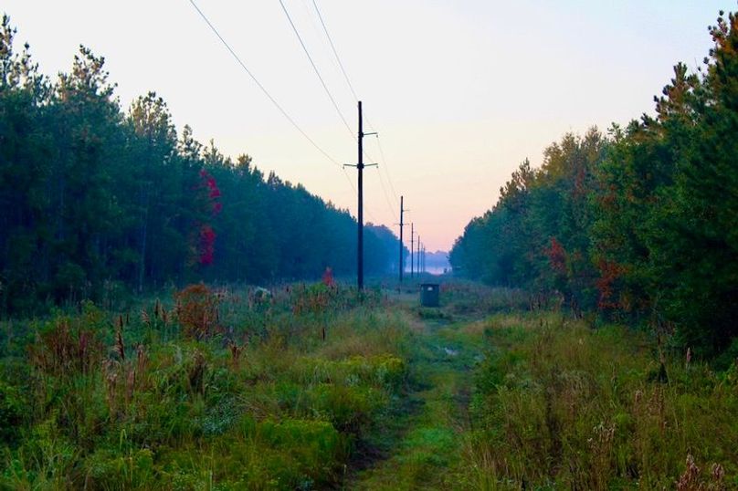 F34E5461-A117-42A0-BF6F-7211CE0470DD_1_105_c