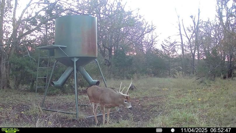 016578005325235-100-3-11042025065247-SYFW00378