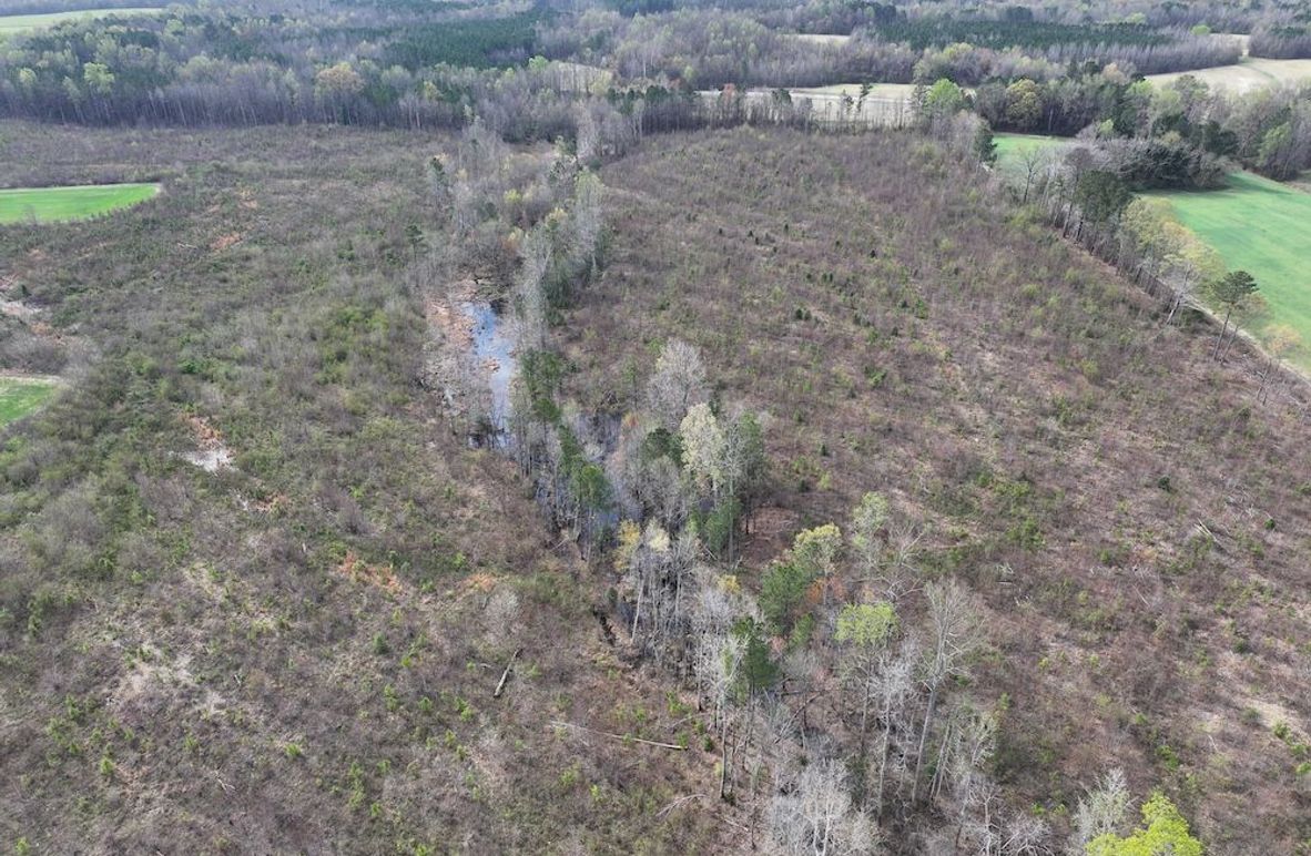 DJI_20260303062547_0509_D