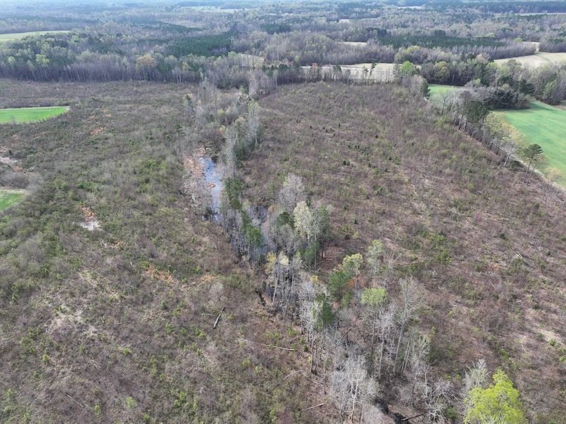 DJI_20260303062547_0509_D