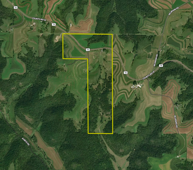 Screen Shot 2023-12-01 at 12.55.44 PM