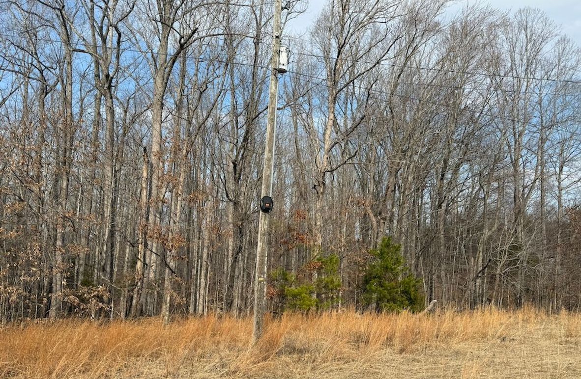 4A7BBBE-3677-4E4C-82FE-174B896B7E66_1_102_o