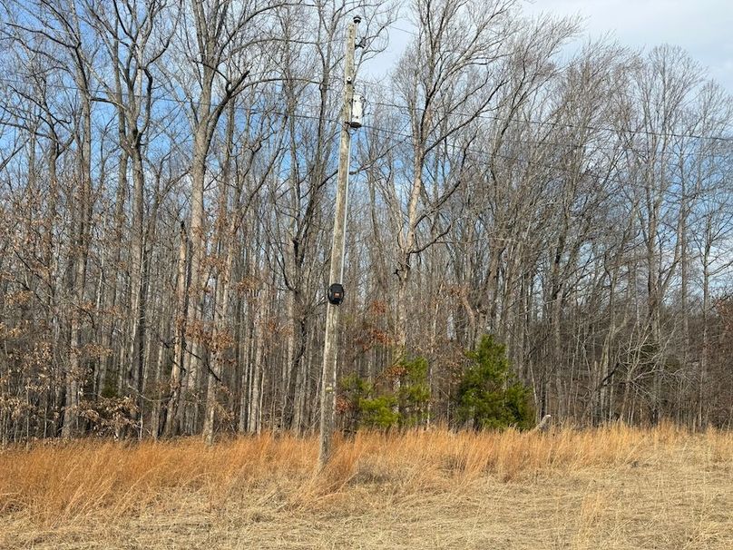 4A7BBBE-3677-4E4C-82FE-174B896B7E66_1_102_o