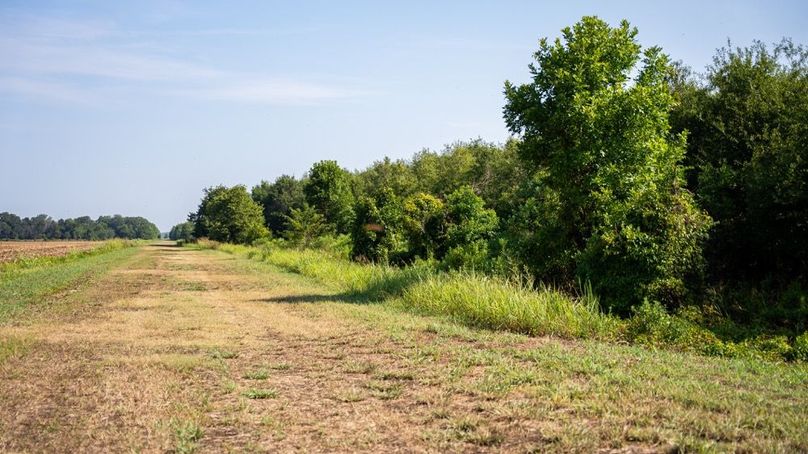 MadisonParLa1372-120