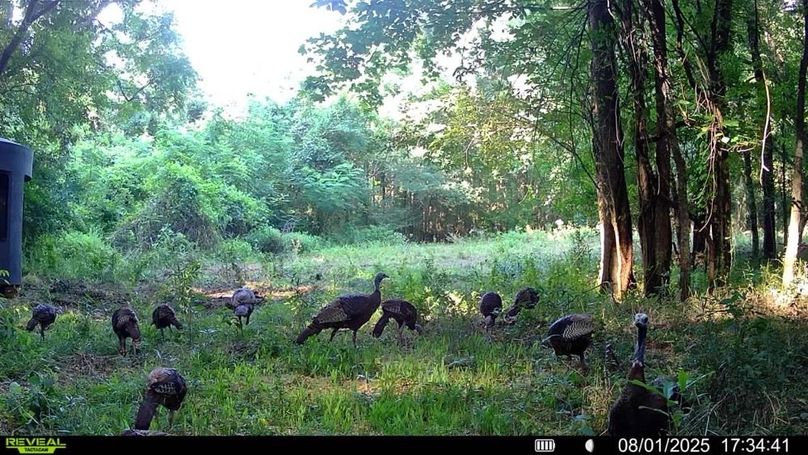 016578002181243-84-3-08012025173441-SYFW00712