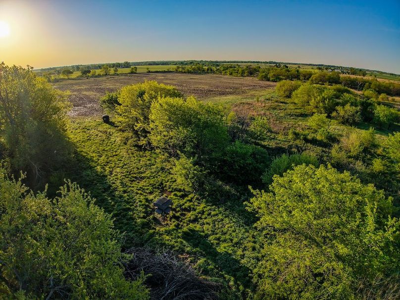 DJI_20260419073102_0290_D