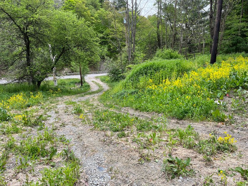 Tioga_18.72_Coulson Photo 37