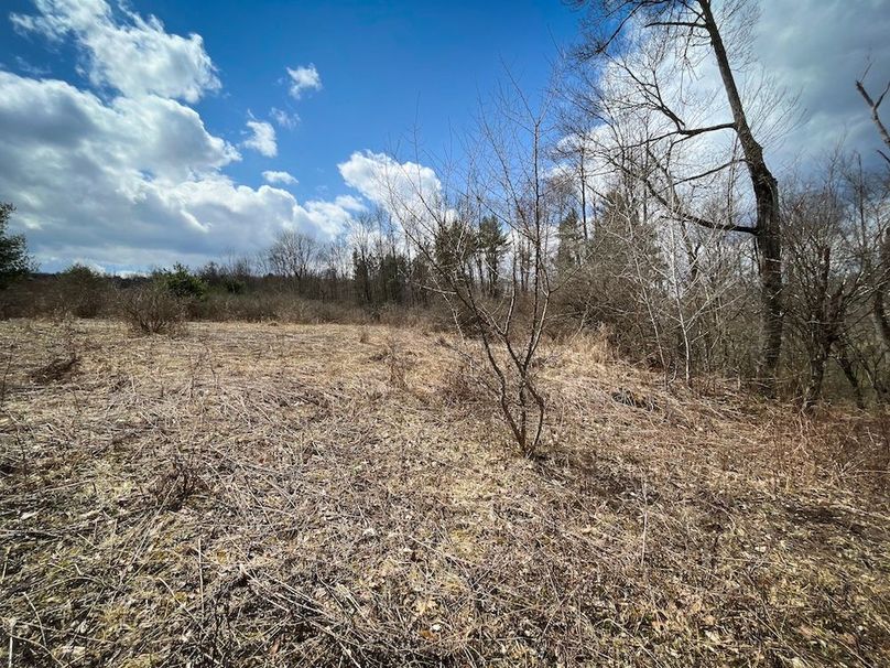 Tioga__NY_109.7_Burris_Photos_50