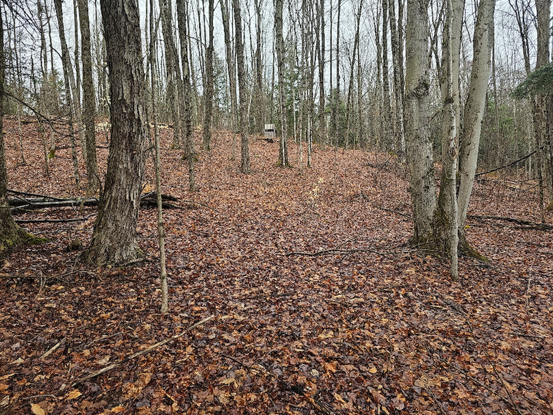 photo_dcfee8f1-9d83-456a-b7ce-d6e5f326f955