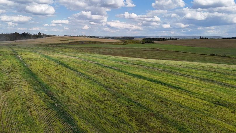 DJI_20250912153156_0047_D