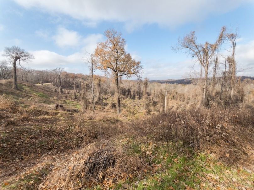 Yazoo Co - 75 - Batton-12