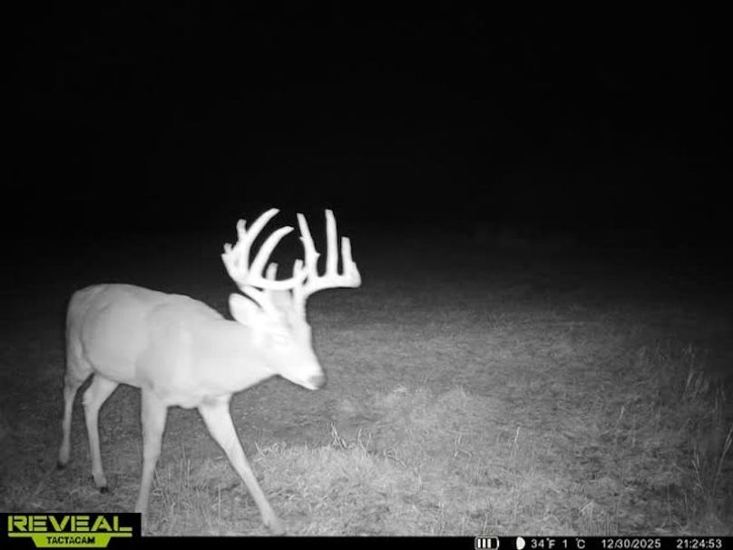 865509050128614-50-4-12302025212513-W1032776