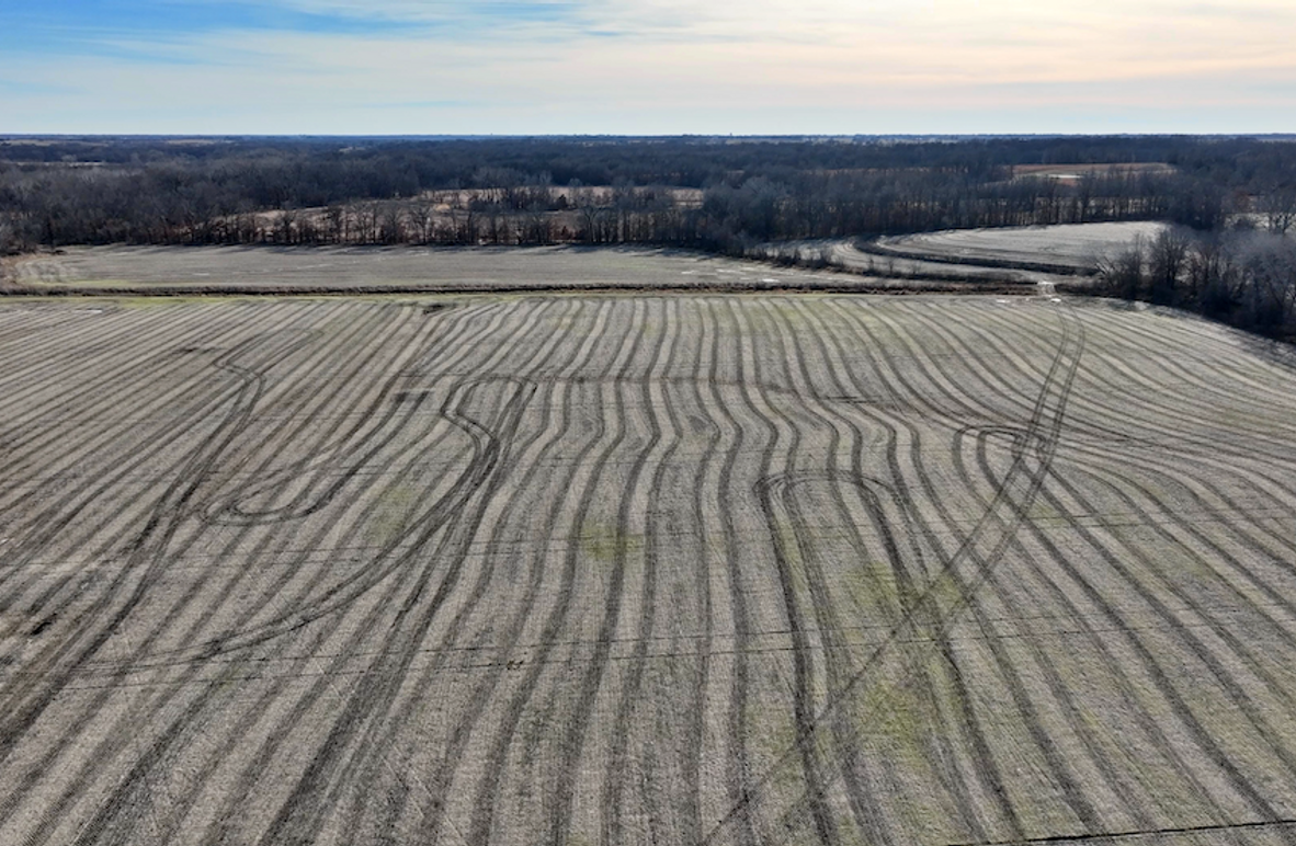 Copy of Screenshot 2025-12-23 at 12.13.45 PM