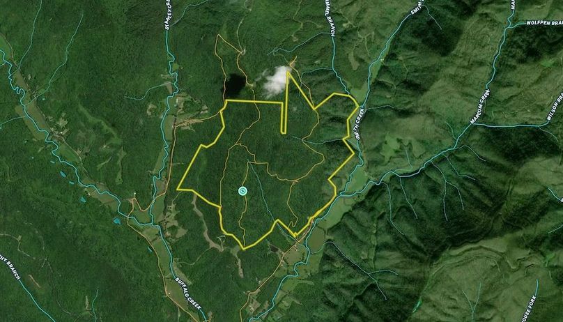 Screenshot 2024-07-09 at 12.30.51 PM