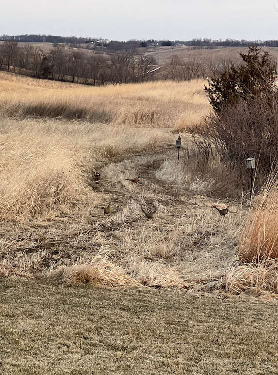 Screenshot 2024-09-04 at 2.32.24 PM