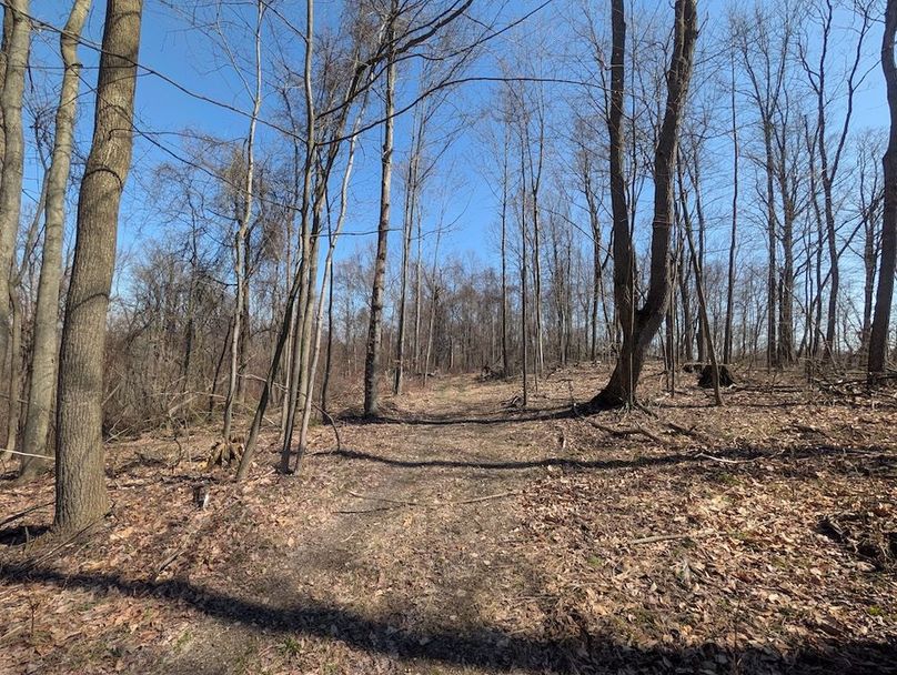 PXL_20260326_165355273.MP