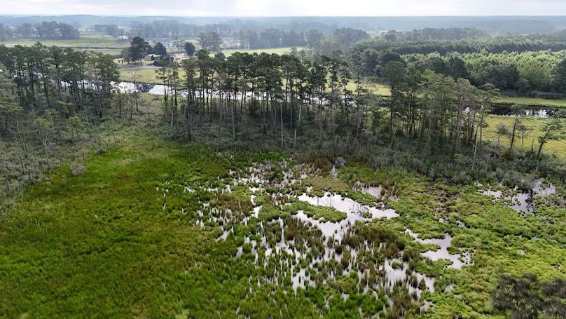 Z_IMG12_58AC_dji_fly_20250811_084018_0016_1754945051678_photo