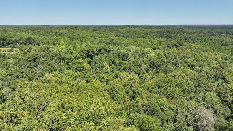 dji_fly_20240904_132516_0366_1725471197163_photo