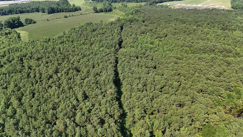 DJI_20250627095434_0107_D