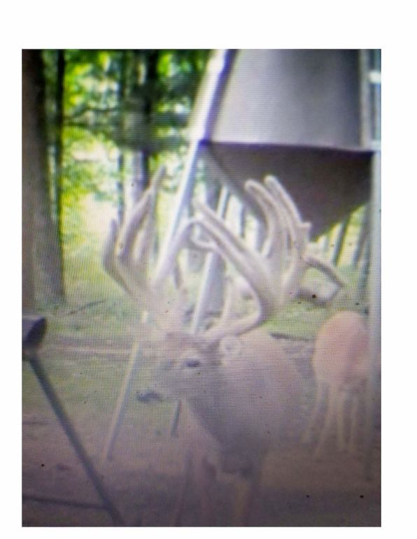 BANNISTER PICS - TRAIL CAM AND 2022 HUNTS (1)_Page_02