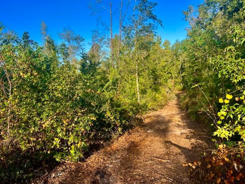 5BC304EE-BB73-4FED-AA01-87EB4CB3A25D_1_105_c